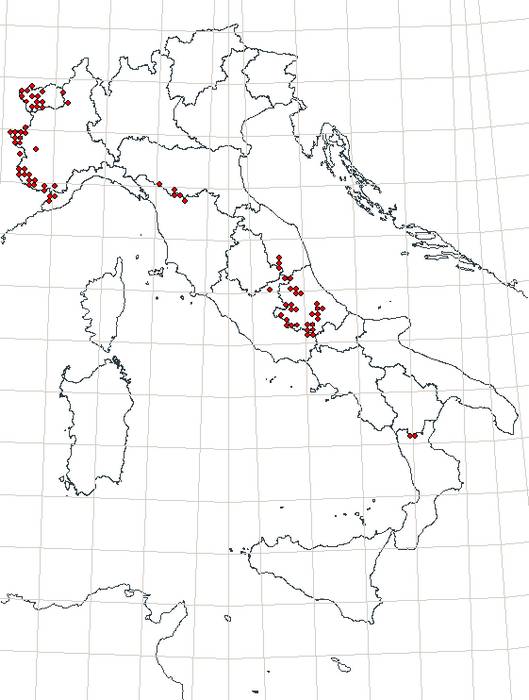 Per gli esperti di Erebie